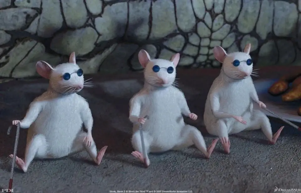 3 Blind Mice