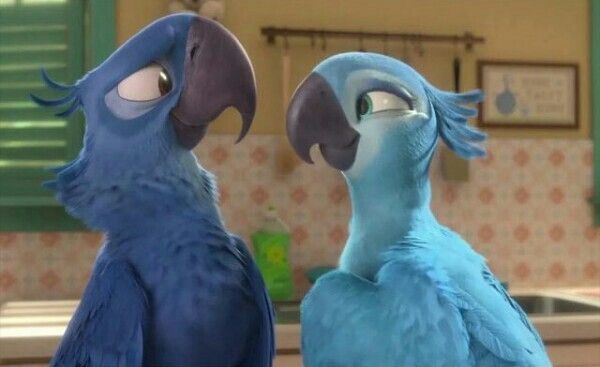 Blu And Jewel