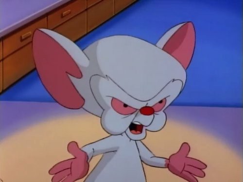 The Brain
